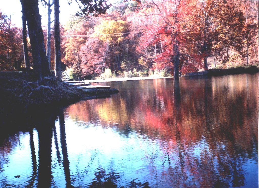 Lake in the Fall